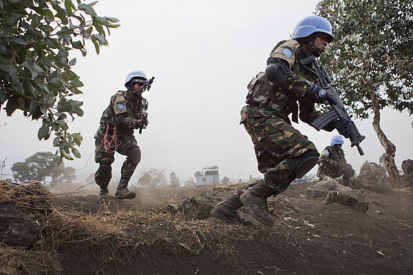 Tanzanian special forces training for the MONUSCO FIB mission