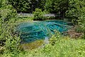 * Nomination Meerauge pond in Bodental, municipality of Ferlach, Carinthia, Austria --Uoaei1 06:39, 19 July 2018 (UTC) * Promotion Good quality. -- Johann Jaritz 07:17, 19 July 2018 (UTC)