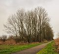 * Nomination Bicycle path next Scharsterrijn Location, Langweerderwielen (Langwarder Wielen) and surroundings. --Famberhorst 16:33, 13 February 2017 (UTC) * Promotion Good quality. --Basotxerri 18:12, 13 February 2017 (UTC)