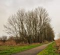 Fietspad naast Scharsterrijn.