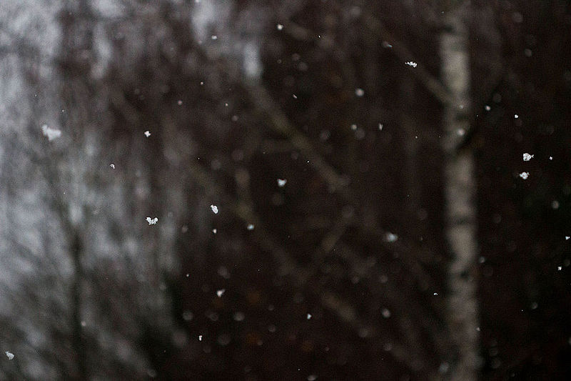 File:First Snow in 2014.jpg