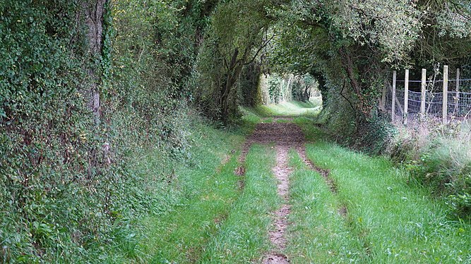 Footpath in Villier sur Port, Normandie, France