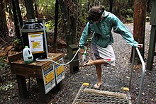 Footwashing station at Trounson Kauri Park, to stop the spread of kauri dieback Footwashing dieback 2.jpg