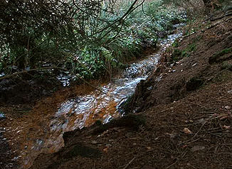 Intrarea dreaptă a Freebach în rezervația naturală cu același nume, la 600 m nord-est de Landwehr