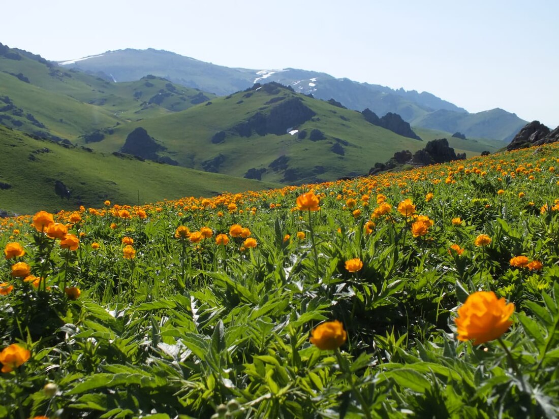 Tarbagatai Mountains