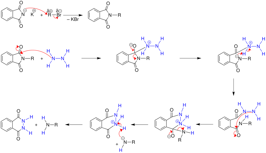 Mechanismus der Gabriel-Synthese: Hydrazinolyse