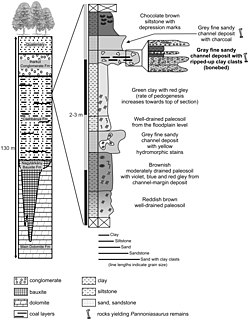 <span class="mw-page-title-main">Csehbánya Formation</span> Geologic formation in Hungary