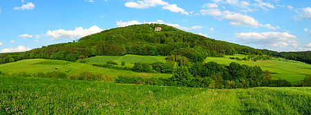 Glatzenstein1000