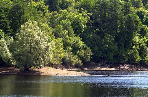 Glenasmole valley