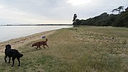 Thumbnail for File:Grassy beach below Inchmery House a private dwelling - geograph.org.uk - 3016075.jpg