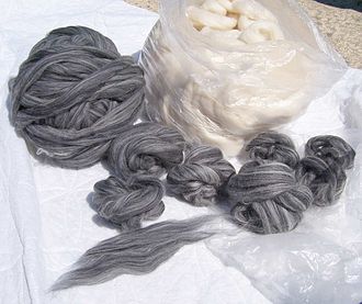 Greywoolroving.jpg