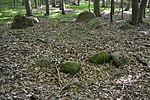 Great stone grave Dobersdorf 2