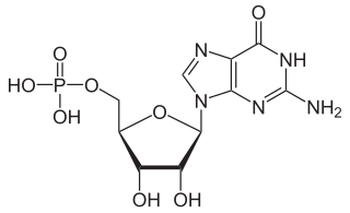 Guanosine monophosphate chemical compound