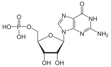 Guanosin_monophosphat