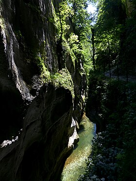 Guiers Vif et chemin le long des gorges.