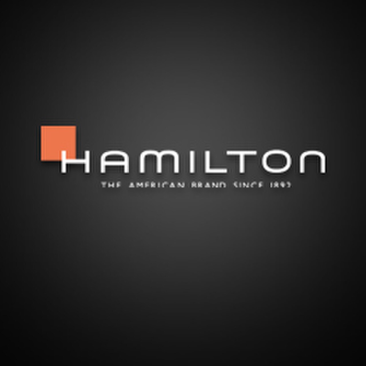 Hamilton international ltd