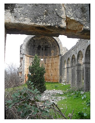 <span class="mw-page-title-main">Hasanaliler Church</span> Church ruin in Turkey
