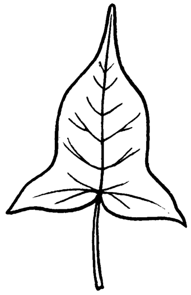 File:Hastate Leaf (PSF).png