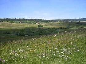 Illustrasjonsbilde av Haut-Doubs-artikkelen