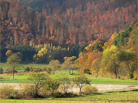 Herbst Oberweser