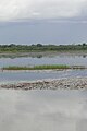 Hippopotamus Lake - Near Satiri - Burkina Faso (4802222919).jpg