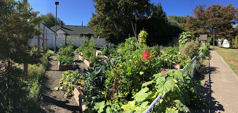 File:Irvington ES garden - Portland Oregon.jpg