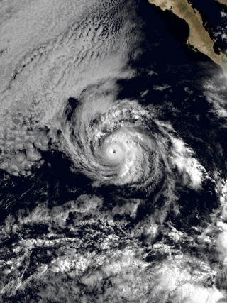 <span class="mw-page-title-main">Hurricane Ismael (1989)</span> Category 3 Pacific hurricane in 1989