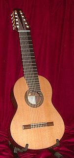 Classical guitar with additional strings Guitar with more than six strings