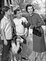 Lassie (1954 TV series) - Wikipedia