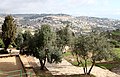 Jerusalem-Oelberg-14-2010-gje.jpg