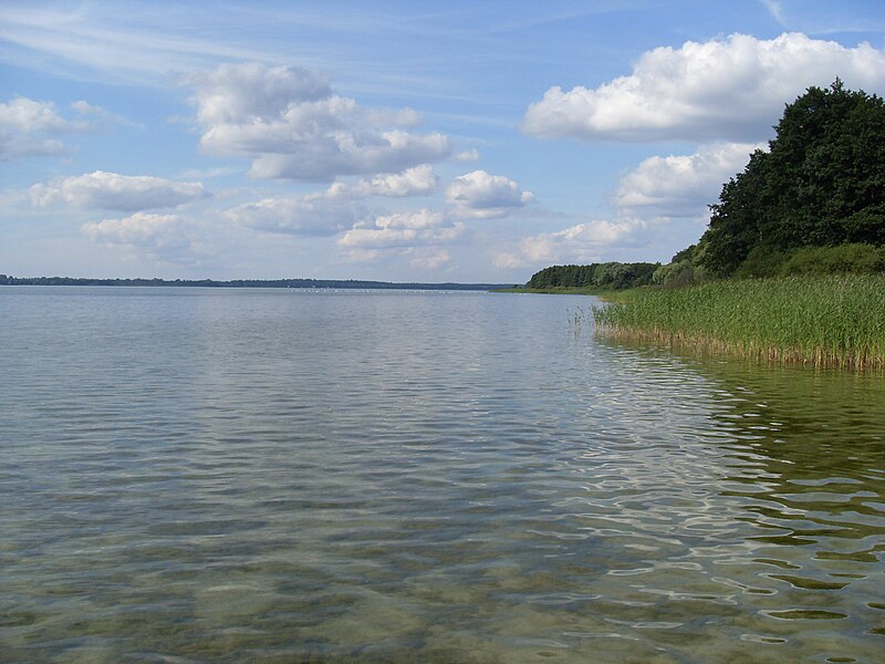 File:Jezioro Miedwie.jpg