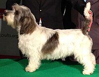 JillyCrufts-cropped2.JPG