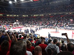 Brose Bamberg vs. Crvena zvezda (Euroleague Basketball - Delije in Germany)  - 15th November 2016 