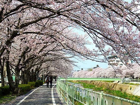 Meitō, Nagoya