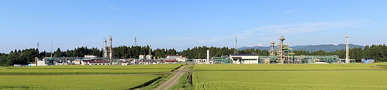 File:Katakai Plant.jpg