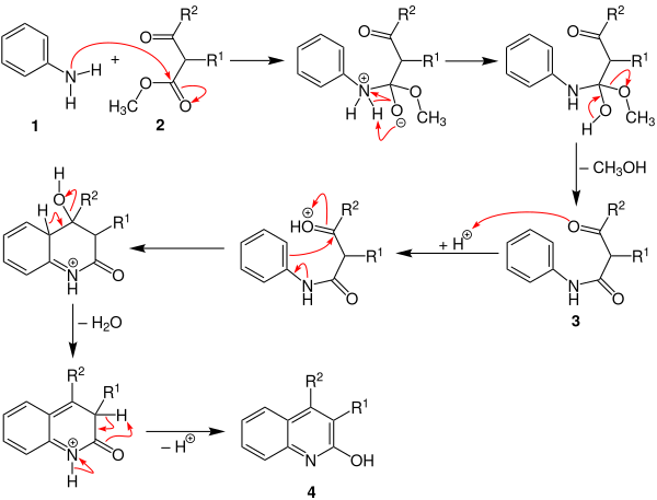 Mécanisme de synthèse de la quinoléine Knorr V3