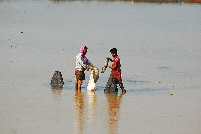 File:Koal fileds fishing.JPG