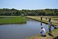 2016年5月6日 (金) 13:31時点における版のサムネイル