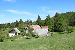 Kranjce Slovenia 2.jpg