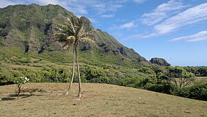 Hawaii: Geografie, Tier- und Pflanzenwelt, Bevölkerung