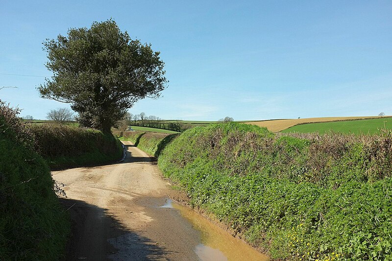 File:Lane, Tencreek - geograph.org.uk - 5329914.jpg