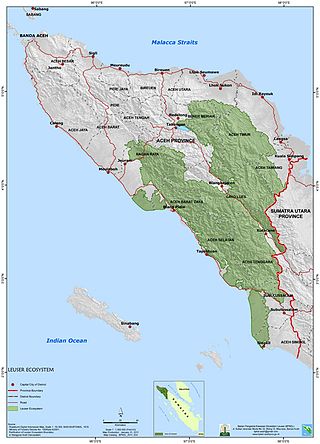 <span class="mw-page-title-main">Leuser Ecosystem</span>
