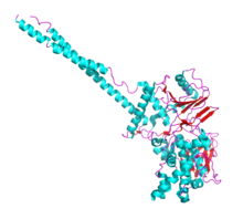 Structure of KDM1A (coordinates from PDB file:2Z5U) Lysine specific demethylase 1.png