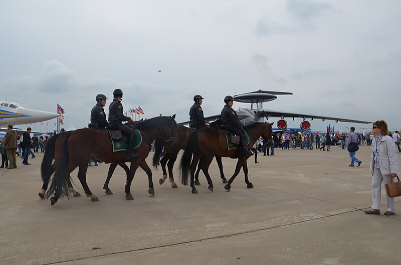 File:MAKS Airshow 2013DSC 0382.JPG