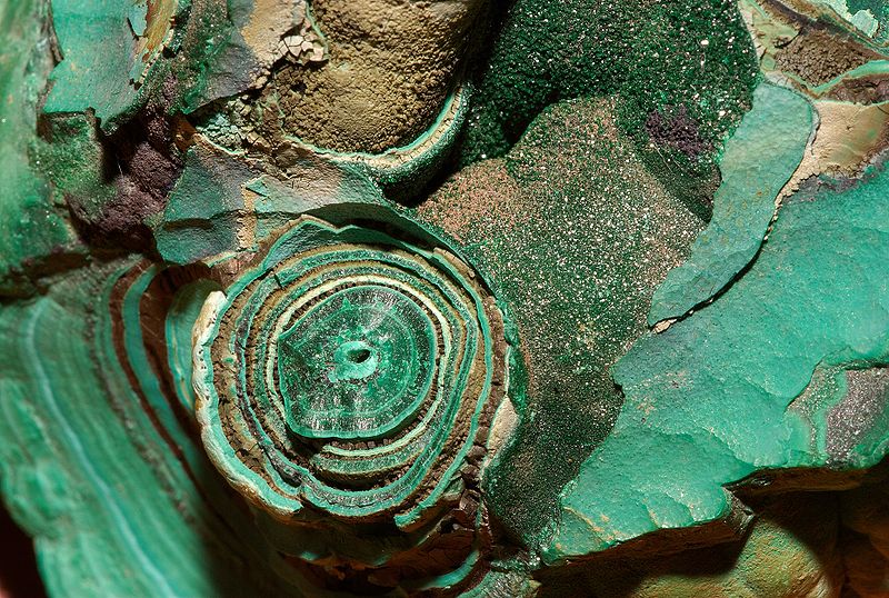 File:Malachite Congo 1 Luc Viatour.jpg