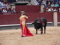 Matador