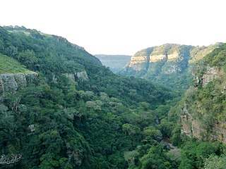 Krantzkloof Nature Reserve A nature reserve in Kloof, KwaZulu-Natal