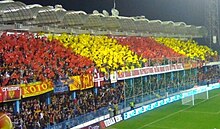 Montenegrin supporters Montenegrinfans1.jpg