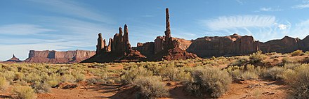 Vegetation in Monument Valley is much like that of the rest of the Colorado Plateau