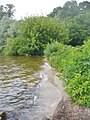 Mueggelsee - Noerdlichen Uferweg (Mueggel Lake - Northern Bankside Walk) - geo.hlipp.de - 38490.jpg